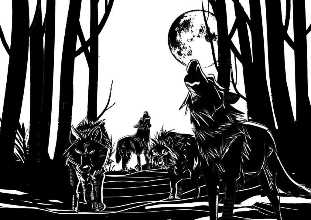 lobos ilustração