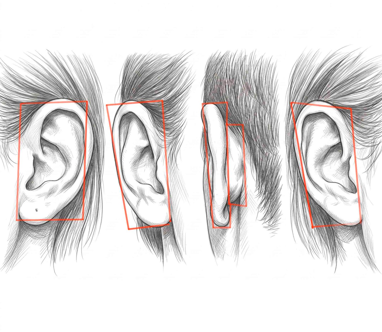 Como Desenhar Orelha Passo a Passo: Guia Completo para Iniciantes